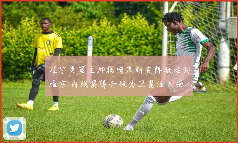 辽宁男篮主帅杨鸣果断变阵激活刘雁宇 内线屏障升级为卫冕注入强心剂
