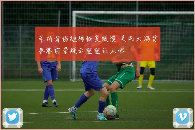 辛纳背伤缠绵恢复缓慢 美网大满贯参赛前景疑云重重让人忧